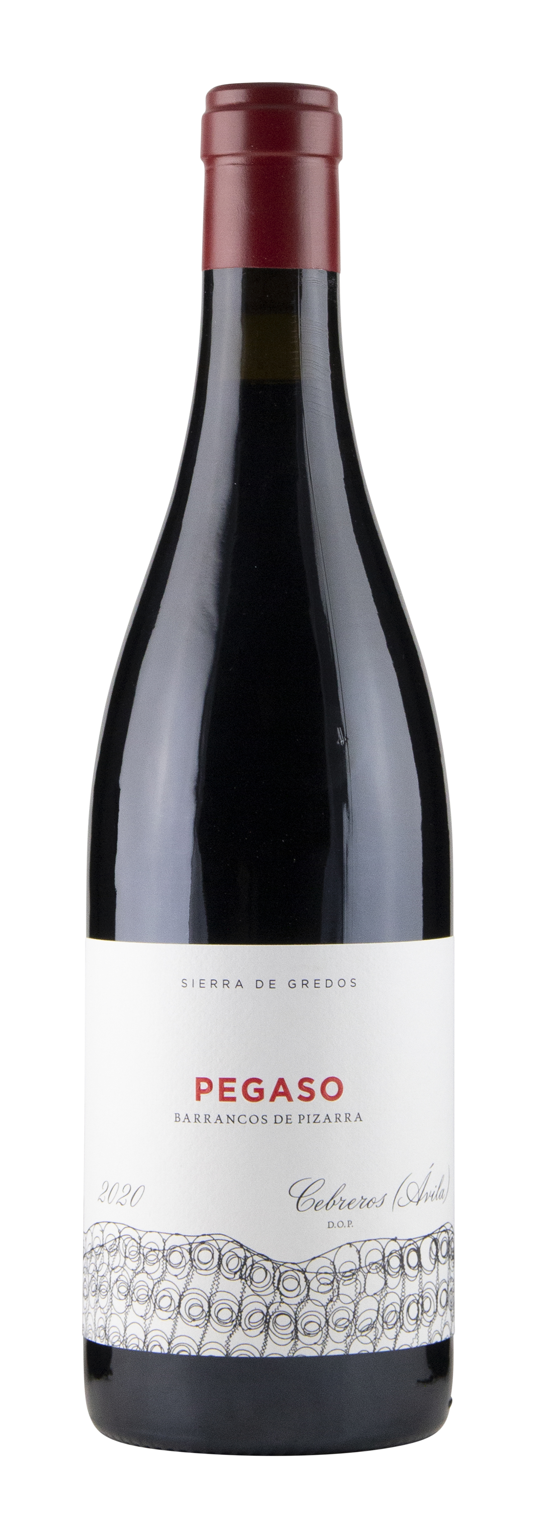 Telmo Rodríguez Pegaso Pizarra 2022